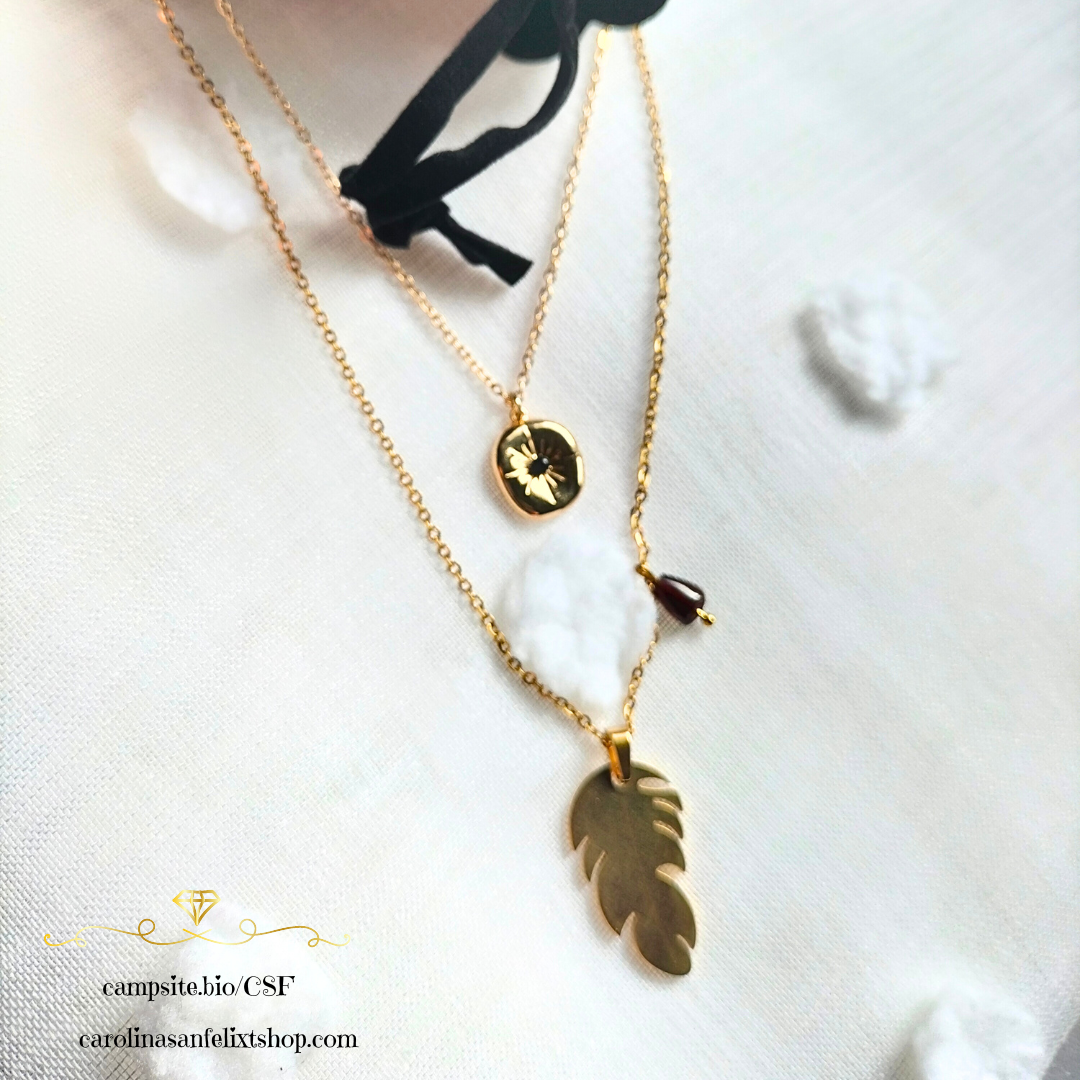 Doble Collar de acero inoxidable y granate